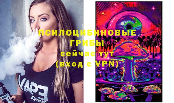mix Богородицк