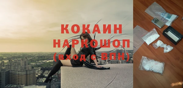mix Богородицк