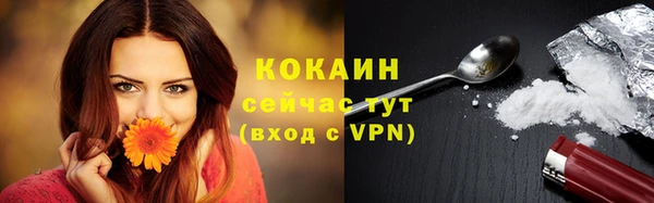 mix Богородицк