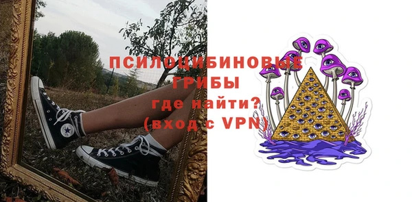 mix Богородицк