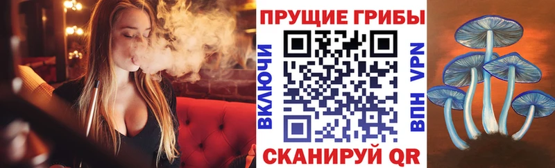 Галлюциногенные грибы мухоморы  Можайск 