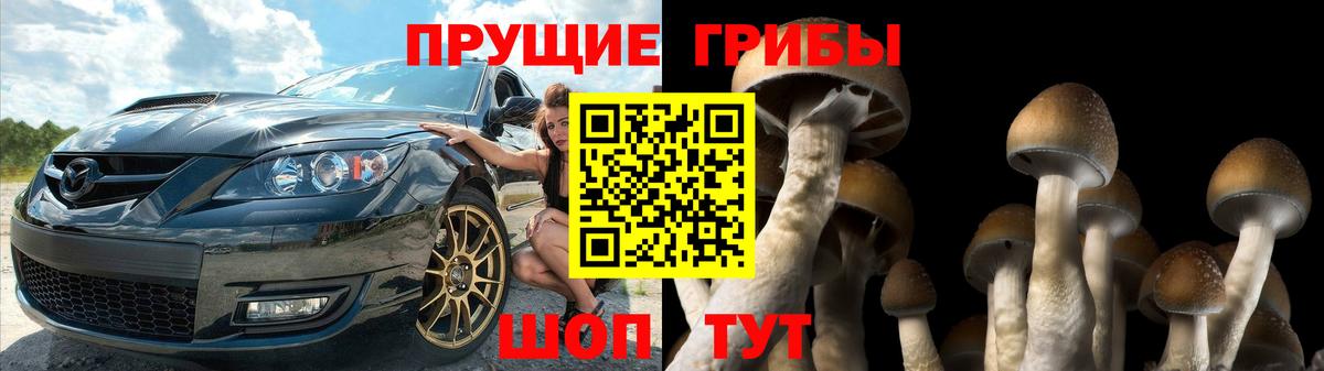 Псилоцибиновые грибы Psilocybe  Вход с VPN  закладки  Можайск 